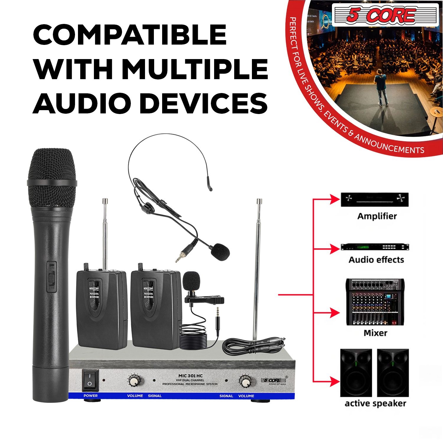 Wireless Microphone Dual Handheld Mic Cordless Receiver Dj Karaoke Singing Microphones WM 301 HC