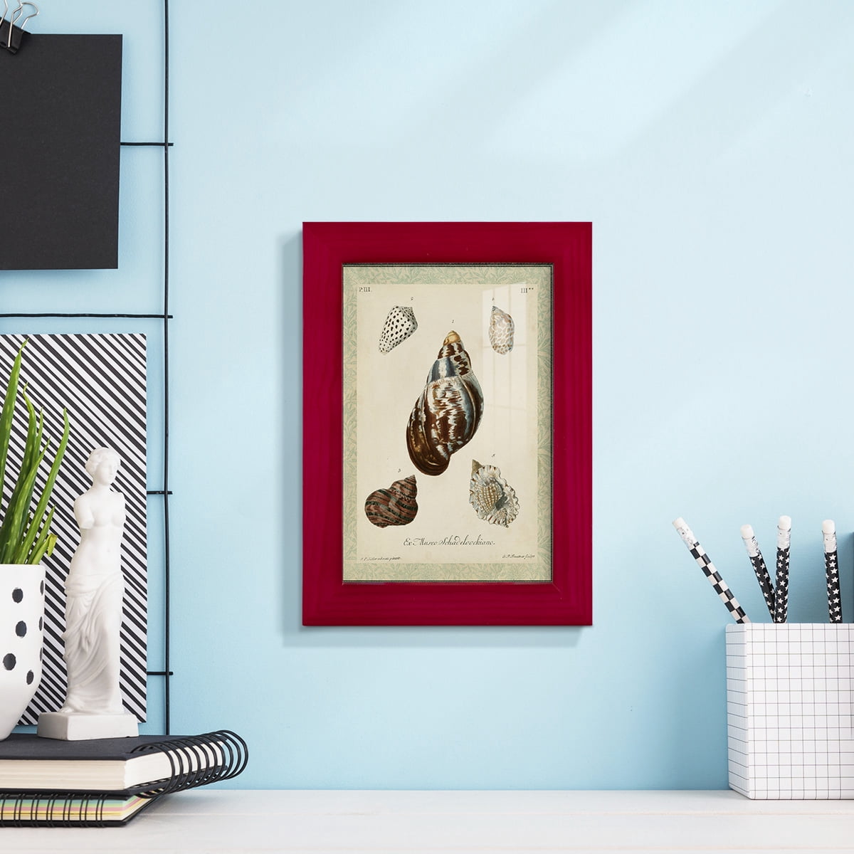 Bookplate Shells VII - Framed Print w/glass - Cherry Red