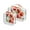 Tulipa Flower, variant on Clear Makeup Bags with Handle Large Opening 2 Pack Set Toiletry Bag Quart Size Bag, for Women Man Traveling Travel Essentials, Toiletries and Other. Tulipa Blue Leaf