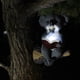 thumbnail image 2 of Adornos de resina de animales Luces solares de koala Adornos creativos de decoración de jardín Luces solares de resina para colgar en el árbol, 2 of 5