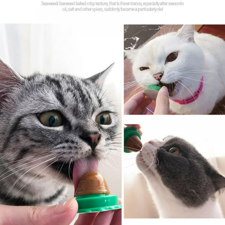 Cat snack ball hotsell