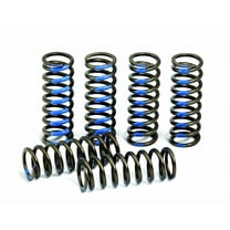 Hinson Hi-Temp Clutch Spring Kit 6 Springs (CS216-6-0315)