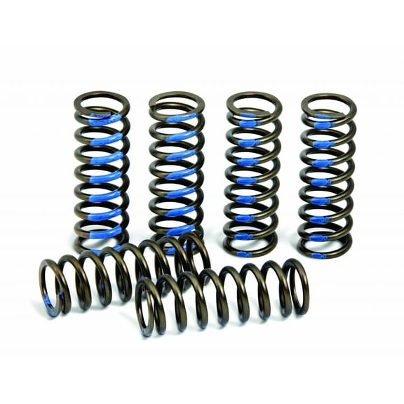 Hinson Hi-Temp Clutch Spring Kit 6 Springs (CS216-6-0315)