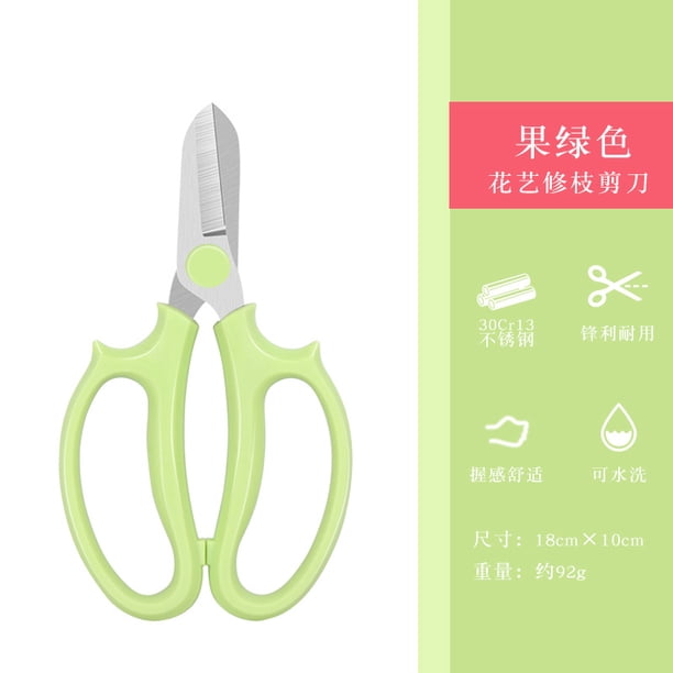 Tijeras florales Lin Tai Zuo - Tijeras profesionales para arreglos florales, tijeras de podar, cortadores de flores para uso doméstico, tijeras especiales para floristería, 401 verde manzana, a granel