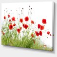thumbnail image 2 of Coquelicots sur Fond Blanc - Impression sur Toile Florale, 2 of 3