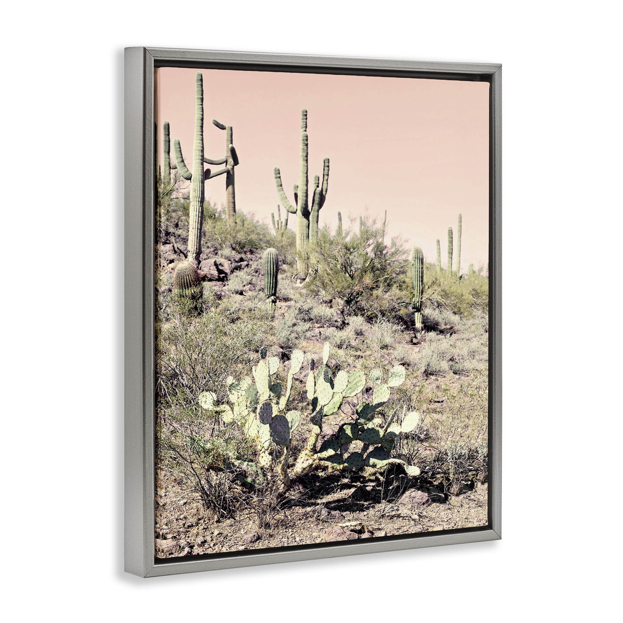 Stupell Industries Rustic Desert Scene Landscape & Nature Photography Gray Floater Framed Canvas Art Print Wall Art, 17 x 21