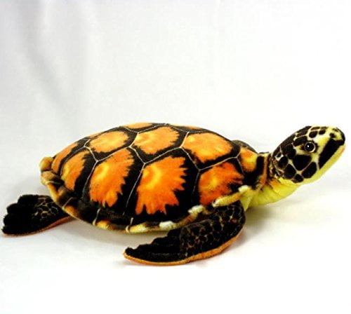 wishpets turtle