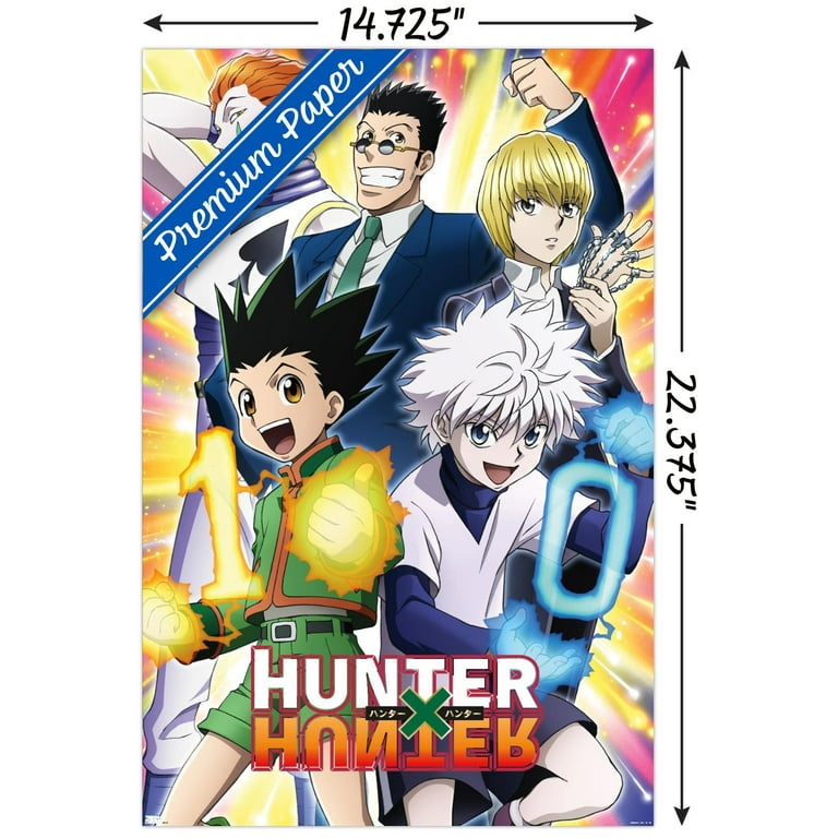 Hunter X Hunter - 10th Anniversary Wall Poster, 14.725