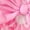 R306-Hot Pink, variant on RMGVDSD Baby Girl Easter Outfit Short Sleeve Cute Embroidered Romper Floral Skirt Socks Set With Bow Headband 4 Piece Summer Outfits 6-12 Months