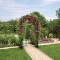 thumbnail image 3 of Costway Arco de Jardín de Metal con Enrejado y Puerta, Pérgola para Plantas/Rosas/Vides, Arco de Boda de Ceremonia, Decoración para Fiesta Nupcial en Patio Interior, 2 m de Altura y 1 m de Anchura, 3 of 6
