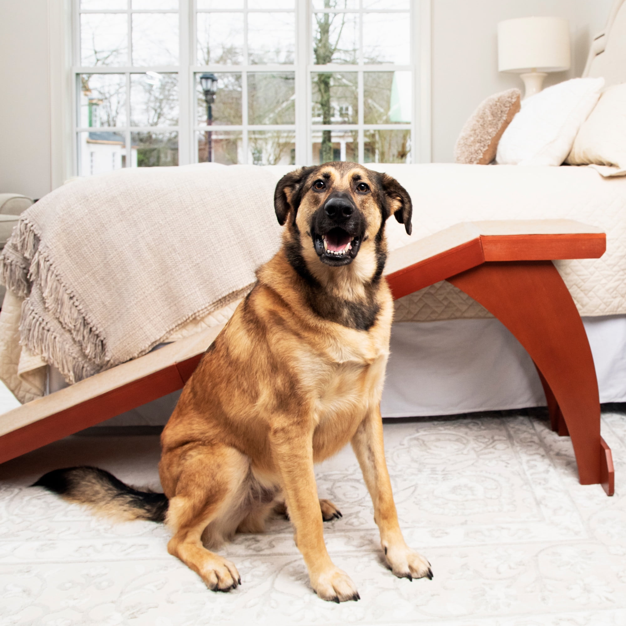 tall pet bed