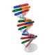 thumbnail image 2 of 1 Juego de modelo de genes humanos, modelo de ADN, juguete científico para armar y construir para niños, 2 of 4