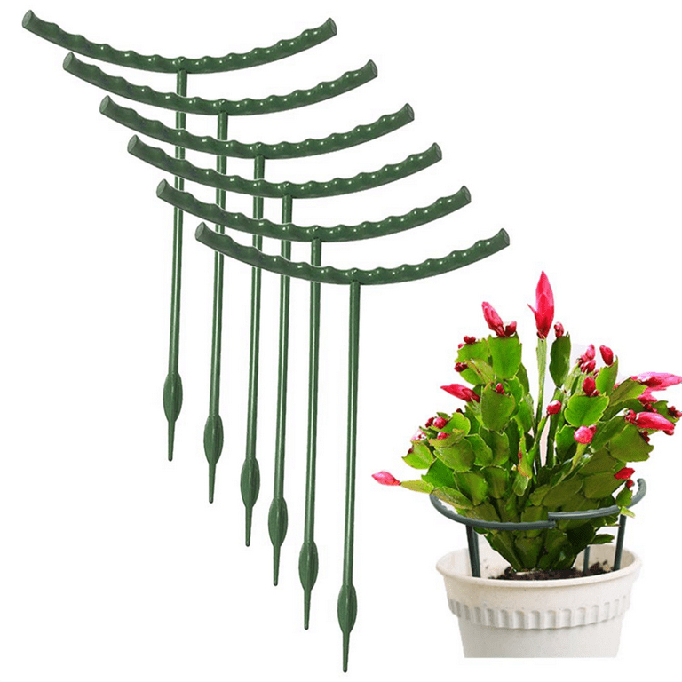 10 Pack Plant Support Plant Stakes, Plastic Half Round Plant Support Ring  Plastic Plant Cage Holder Flower Pot Climbing - Walmart.com
