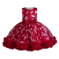 thumbnail image 2 of LOVZFMLL Girls' Summer Short Sleeve Ruffled Lace Round-Neck Embroidery Mesh Princess Bow Skirt, 2 of 3