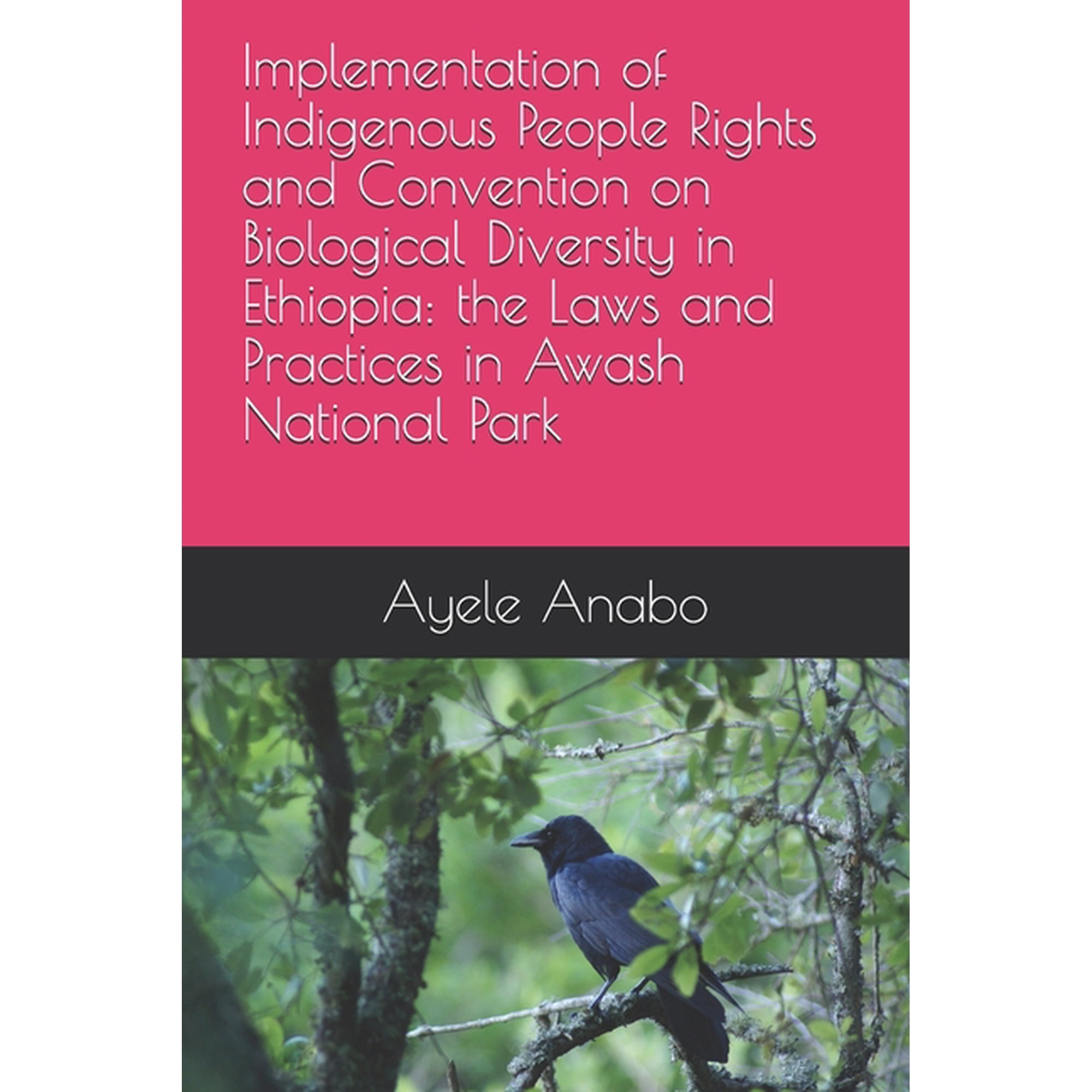 Implementation of Indigenous People Rights and Convention on Biological Diversity in Ethiopia: the Laws and Practices in, (Paperback)