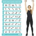 thumbnail image 1 of shiyou-Resistance Band Workout Poster (40 Illustrations) Laminated Bodyweight Hitt Exercise Chart for Abs, Glute, Back, Legs - Stretch Routine for Home Gym, Garage, for Men, Women - Cable Trainings, 1 of 4