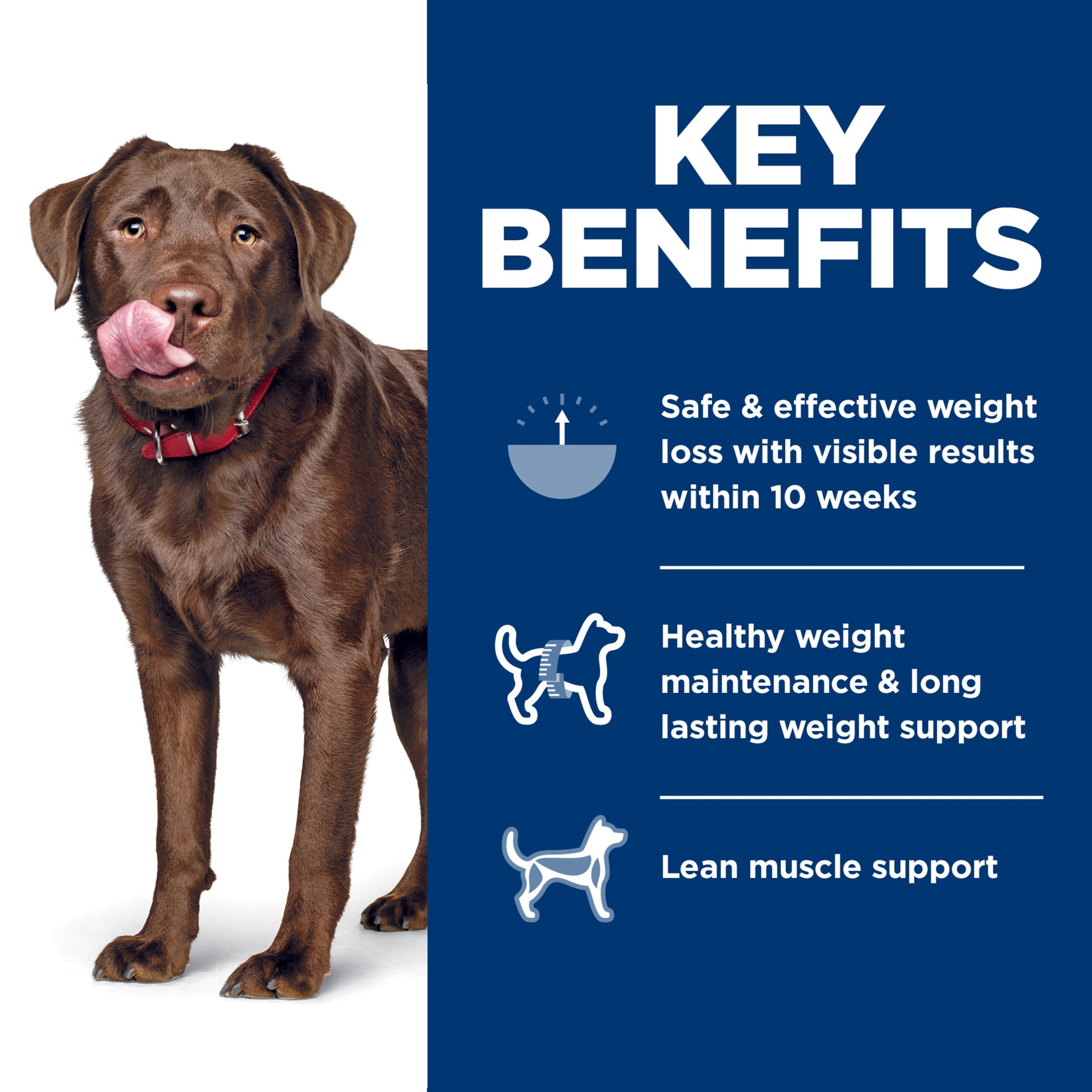 Hill's Science Diet Perfect Weight Chicken Dry Dog Food, 25lb Bag