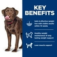 thumbnail image 5 of Hill's Science Diet Perfect Weight Chicken Dry Dog Food, 25lb Bag, 5 of 8