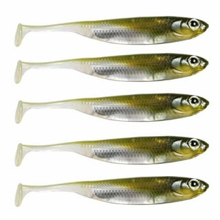 Ozark Trails Hard Plastic Saltwater Inshore Minnow Lures, 2-Pack. In Fish  Attracting Colors.