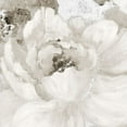 thumbnail image 2 of Loreth, Lanie 26x26 White Modern Wood Framed Museum Art Print Titled - Light Grey Flowers I, 2 of 4