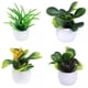 thumbnail image 1 of 4 Pieces Modern 1/12 Potted Plants Fairy Room Bedroom Decor Zulema none, 1 of 8