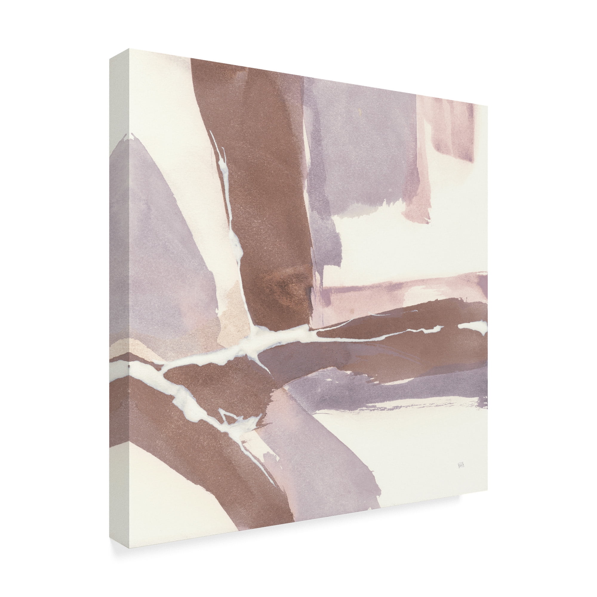 Trademark Fine Art 'White and Placid II Blush' Canvas Art by Chris Paschke
