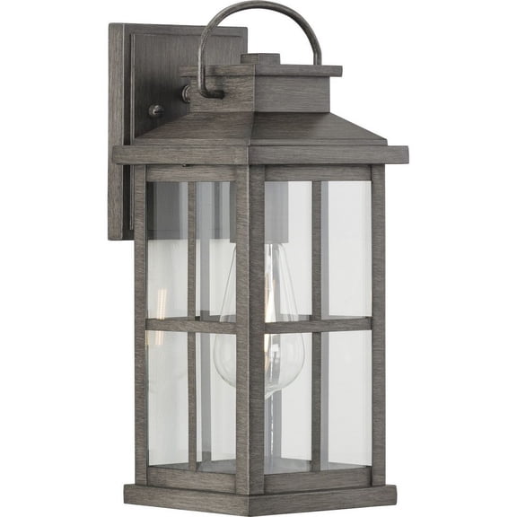 P560265-103-Progress Lighting-Williamston - 1 Light Outdoor Medium Wall Lantern-Antique Pewter Finish