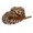 C, variant on Women's Classic Leopard Print Western Cowboy Hat: Vintage Felt Wide Brim with Heart Pearl Decor for Party, Stage, Leopard