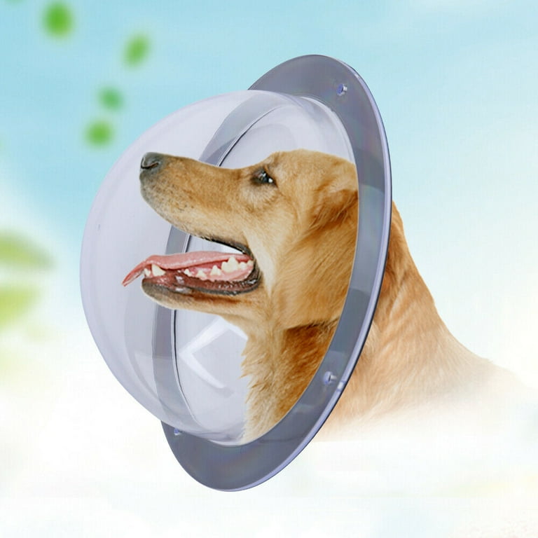 Bubble cone for dogs hotsell