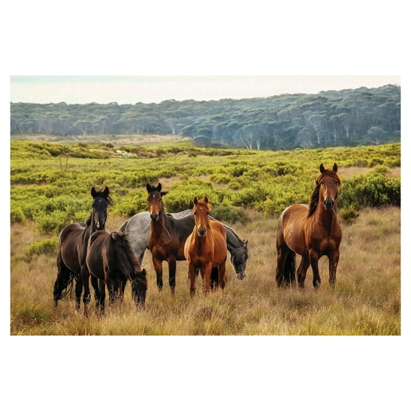 Masterpiece Art Gallery Perfect Neigh-Borhood Horses in a Field by Christine Mendoza Canvas Art Print