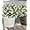 White, variant on ZOELNIC 6 PCS Outdoor Artificial Plant Flower UV Resistant Fake Stems Plants, Faux Shrubs Outdoor Greenery Plastic Plants for Outside Garden Porch Window Home Wedding Farmhouse Patio Decor, White