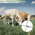 thumbnail image 3 of Farm Fence 5ft x 164ft Heavy Zinc Coating  Livestock Fence Field Wire Fencing for Deer,Cattle,Goat,Hog,Sheep Animals and Field Protection, 3 of 8