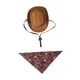 thumbnail image 5 of Accesorios de vestuario de vaquero de mascota sombrero de vaquero y pañuelo divertido para el cumpleaños del S, 5 of 8
