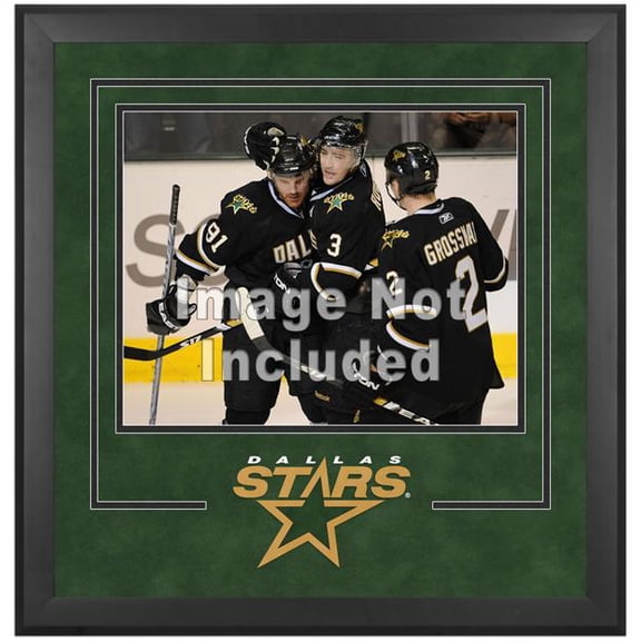 Dallas Stars Deluxe 16" x 20" Horizontal Photograph Frame