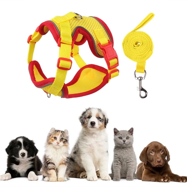 Birdeem 5-Point Safety Pet Harness Leash, Escape Proof Vest with Belly Control Handle, Reflective Adjustable Harness for Dogs Cats Night Walking