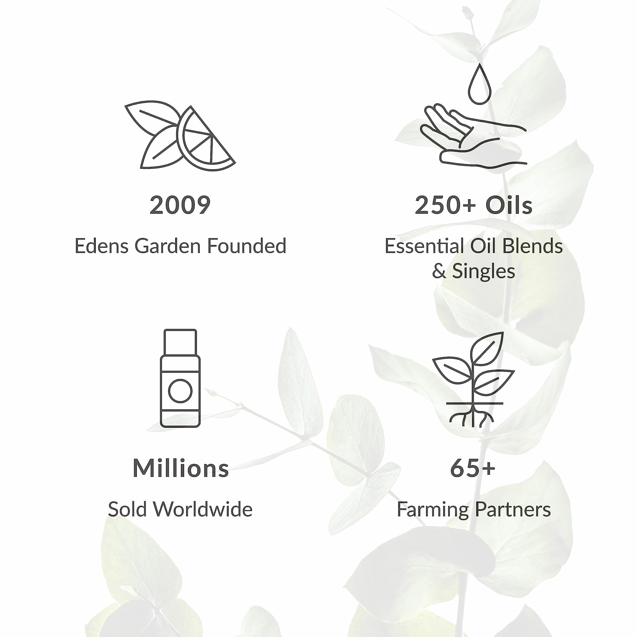 Edens Garden Cedarwood- Atlas Essential Oil- 100% Pure Premium Grade, Undiluted, Natural, Therapeutic, Aromatherapy, The Best for Diffuser, Candle, Laundry, Hair 30 ml (1 fl oz)