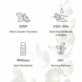thumbnail image 6 of Edens Garden Tea Tree Around The World Essential Oil- 100% Pure Premium Grade, Undiluted, Natural, Therapeutic, Aromatherapy, The Best for Diffuser, Skin, Face, Hair 30 ml (1 fl oz), 6 of 8