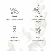 Edens Garden Focus, Focus, Focus Essential Oil Blend- 100% Pure Premium Grade, Undiluted, Natural, Therapeutic, Aromatherapy, The Best for Diffusing, Kid Safe, Humidifiers, Skin 10 ml (.33 fl oz)