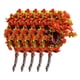 thumbnail image 2 of 5 Unid Modelo Plástico Árboles Frutales Tren Ferrocarril Paisaje Planta DIY (7 cm alto) Altura 70mm, 2 of 9