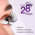 thumbnail image 2 of Sesderma Seslash Eyelash & Brow Enhancing Serum 0.17 fl. oz, 2 of 3