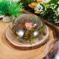 thumbnail image 5 of HONMEET 12pcs Clear Plastic Ornament Domes Fillable Hemisphere Covers for Christmas Snow Globe Crafts and Holiday Home Decorations, 5 of 8
