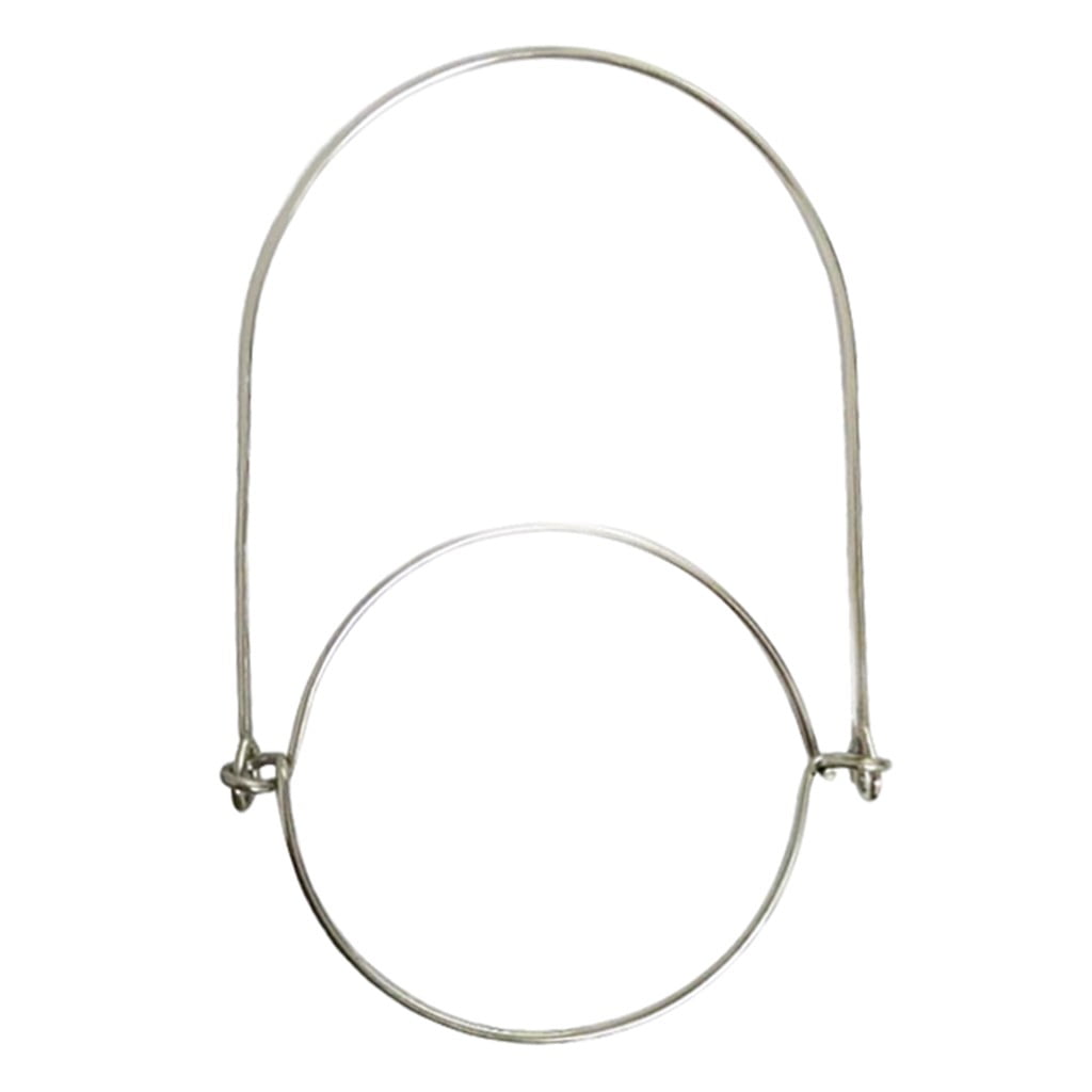 Buy Reed 10 Pack Stainless Steel Wire Handles Hangers for Mason, Ball