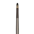 thumbnail image 1 of CEPILLO REAL ROYAL BRUSH  RYZ53T1, 1 of 1