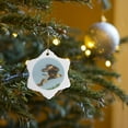 thumbnail image 7 of 3drose, Usa, Texas, Hidalgo County. Crested Caracara Taking Flight., 3 inch Snowflake Porcelain Ornament, 7 of 7