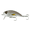 Baby Speck, variant on 6th Sense Movement Salt Wake Series Topwater Wake Bait, Inshore Saltwater Fishing Lure