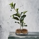 thumbnail image 2 of Herramienta de arreglo floral Kenzan con alfiler de aguja fijo con forma de sol y luna, 2 of 10