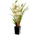 thumbnail image 1 of Fleurs d'Orchidées Blanches en Pot avec Base Carrée Noire Mate, 1 of 1