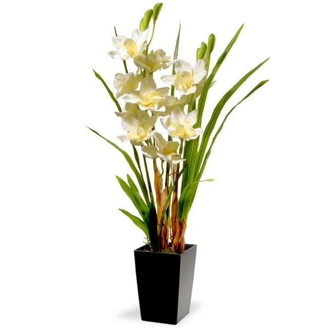 Fleurs d'Orchidées Blanches en Pot avec Base Carrée Noire Mate