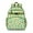 LightGreen Multicolor Dinosaurs, variant on LightPurple Dinosaurs Flowers Pattern Backpack for School,Cute School Bag,Schoolbag with Adjustable Shoulder Straps & Padded Back,15.25"x11.5"x5.25"
