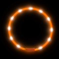 thumbnail image 1 of Collar para perros BEMS-LED - Collar iluminado recargable para mascotas, silicona, 1 of 5
